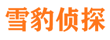 永春侦探公司